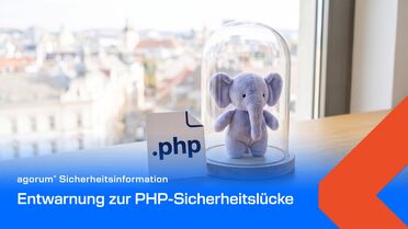 Blauer Plüsch-Elefant geschützt unter einer Glasglocke neben einer Karte mit der Dateiendung .php