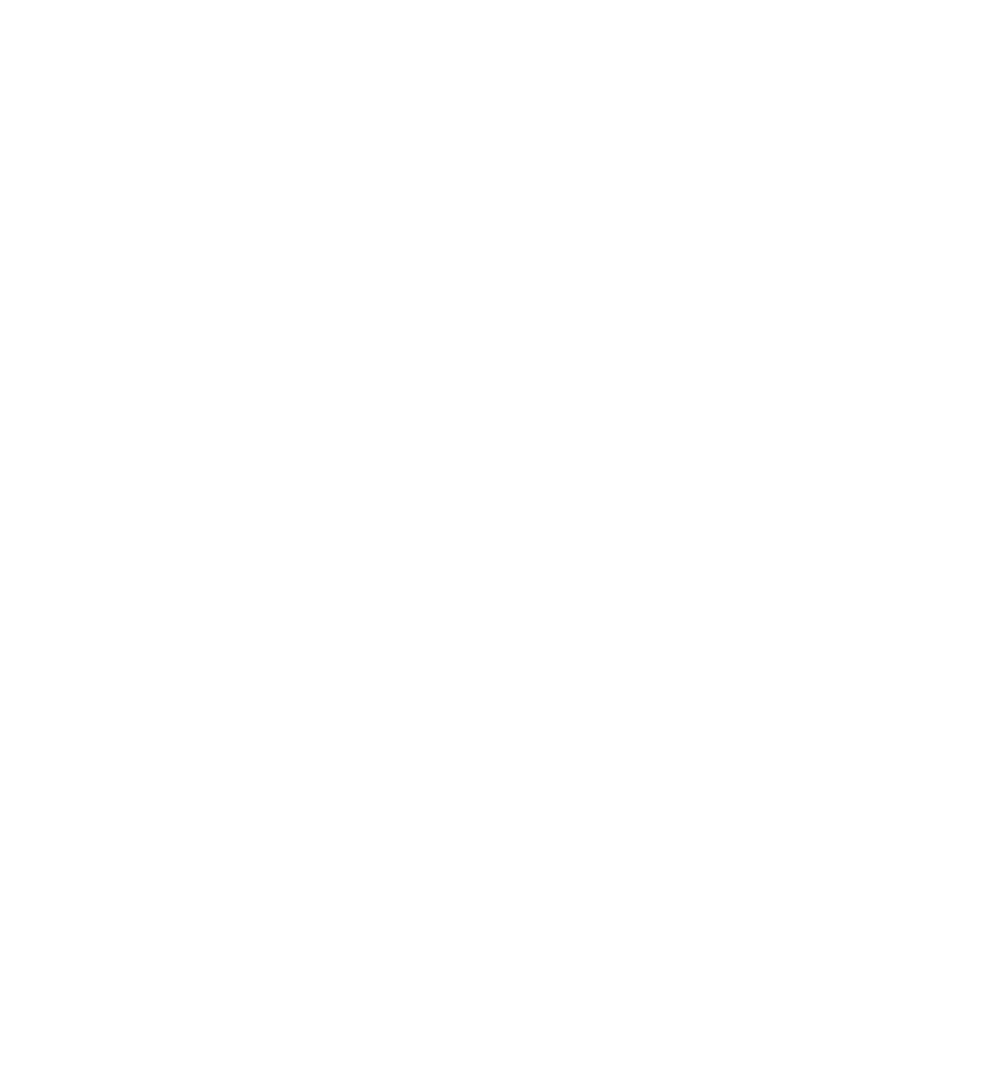 kunde-logo-weiß-PetroNord